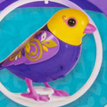 A link to a DigiBirds guide