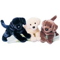 A group of three labs sitting together, one black, one yellow, and one chocolate.