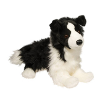 A fluffy black and white dog.