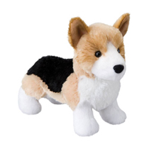A short dog standing up.