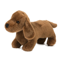 A cute little brown dachshund.