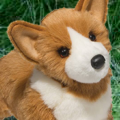 A link to a Douglas dog plush guide